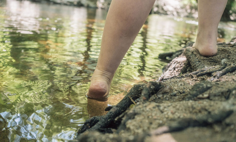 Illustration: Lipödem früh erkennen – diese Warnzeichen sollten Sie ernst nehmen (Plastische Chirurgie Linz)